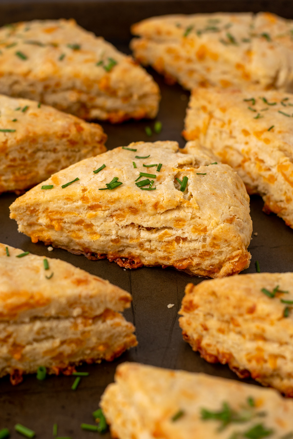 close up of gluten free cheese scones on a baking pan