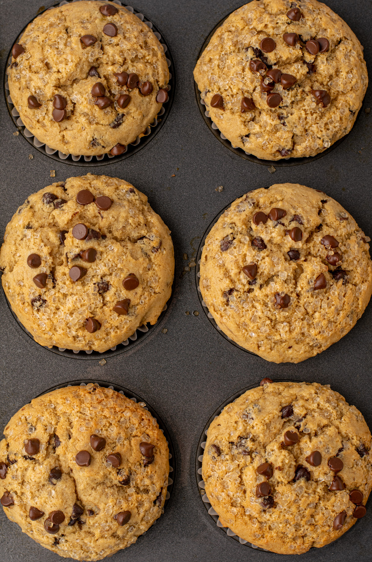 top view of banana chocolate chip muffins in a tin
