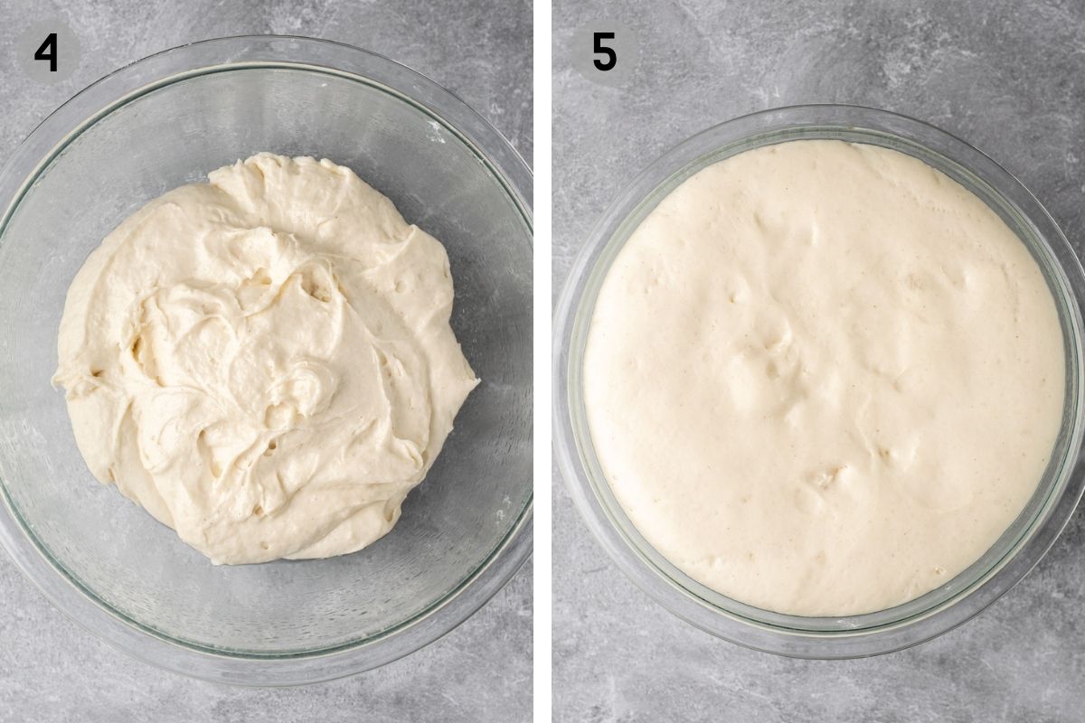 english muffin dough before and after the first proof.