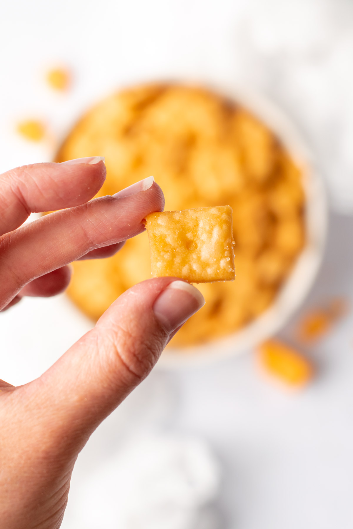 hand holds a singular cheez it up close